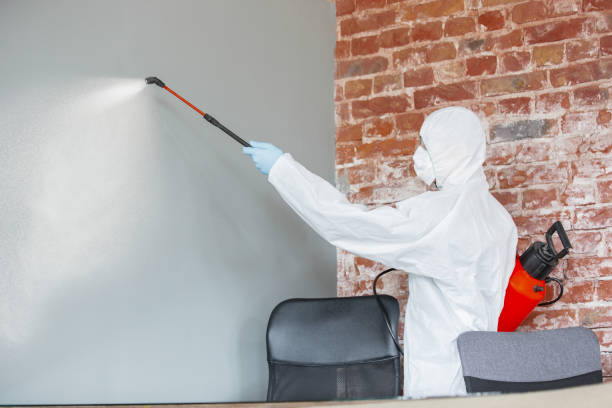 Best Environmental Consulting for Mold Prevention  in Village Of Oak Creek, AZ