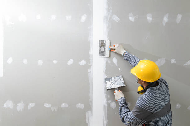 Best Mold Prevention Services  in Village Of Oak Creek, AZ