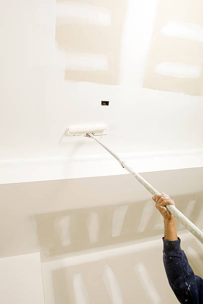 Best Mold Damage Restoration  in Village Of Oak Creek, AZ