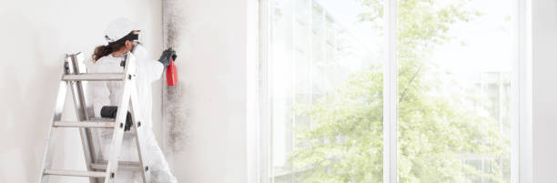 Best Mold Documentation for Insurance Claims  in Village Of Oak Creek, AZ