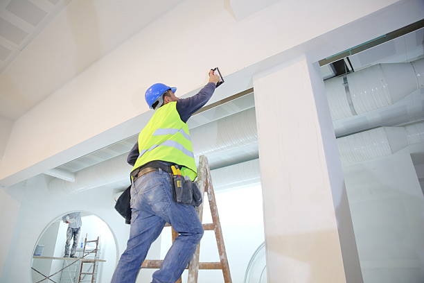 Best Black Mold Removal  in Village Of Oak Creek, AZ